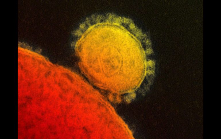 Para el nuevo coronavirus no existe ninguna medicina o vacuna. ARCHIVO /