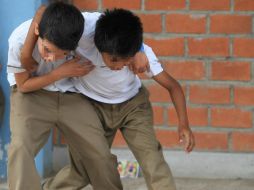 El Distrito Federal, Nayarit, Puebla, Tamaulipas y Veracruz cuentan con algún tipo de Legislación en la materia. ARCHIVO /