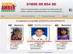 La página de internet ya se encuentra en línea. ESPECIAL /