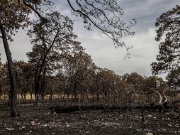 El incendio afectó un aproximado de una hectárea. ARCHIVO /