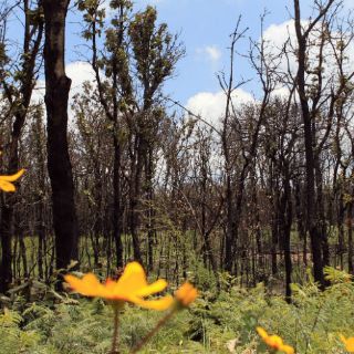 México registró 176 Áreas Naturales Protegidas en 2013