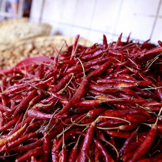 Chile de Yahualica avanza en proceso de Denominación de origen