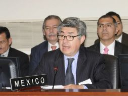 Joel Hernández, embajador mexicano ante la OEA, ahora miembro del Comité Jurídico Interamericano. ARCHIVO /