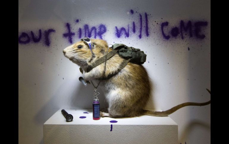 Disecada, con una mochila a sus espaldas y una lata de spray, el roedor es la creación, y el alter ego, de Banksy. AFP /