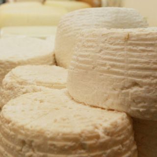 Alimentación mejora intelecto en menores con Down