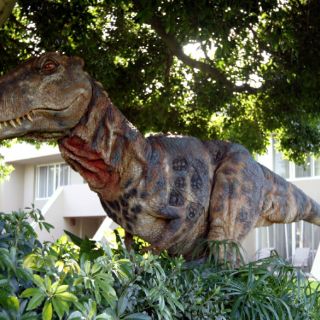 Científicos atrasan cinco millones de años fin de periodo Jurásico