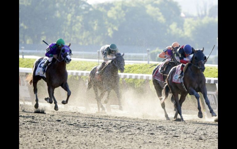 Californi Chrome terminó en la quinta posición en la carrera de Belmont. EFE /