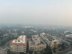 Autoridades han cerrado partes de la carretera US 27 por la poca visibilidad. Twitter: @MiraTVMiami. ESPECIAL /