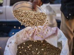 El proceso de purificación es costoso y de bajo rendimiento. ARCHIVO /