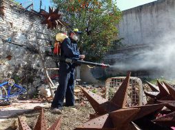 Proponen multas a personas que no limpien sus casas abandonadas o lotes baldíos. ARCHIVO /