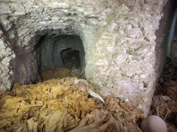 La tumba podría haber servido de fosa común dado el gran número de restos humanos. AFP /