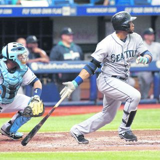 Seattle hunde a Tampa