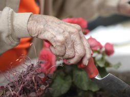 Zeinat Akhras relata que sobrevivió comiendo plantas y leyendo libros. ARCHIVO /