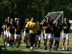 Será alrededor de 15 mil abonos los que esten disponibles para la afición melenuda.  /