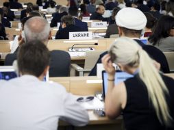 Los miembros del consejo expresaron en un comunicado su preocupación por el avance de los insurgentes suníes. EFE /