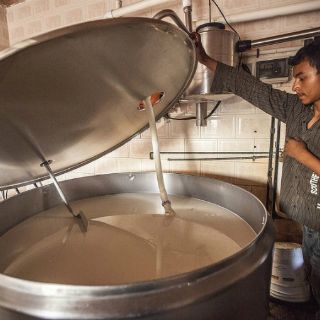 Al día, 200 mil litros de leche sin vender