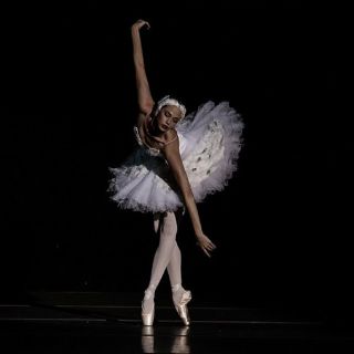 Fuga de bailarines cubanos causa 'gran dolor' pero no daño