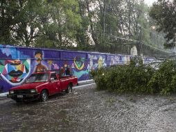 Autoridades ya realizan la evaluación del fenómeno natural que se soltó en la ciudad.  /