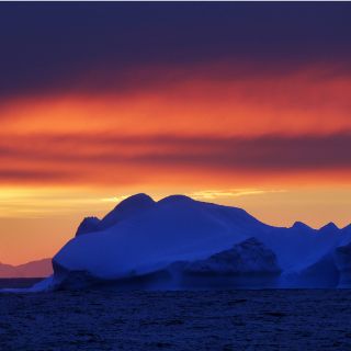 Impacto de témpanos a la deriva reduce especies en la Antártida