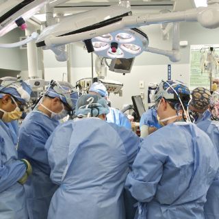 Desarrollan liposucción alternativa con nanoparticulas de oro