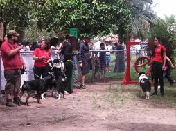 Este espacio será protegido para animales, piden a los dueños que los cuiden durante su estancia.  /