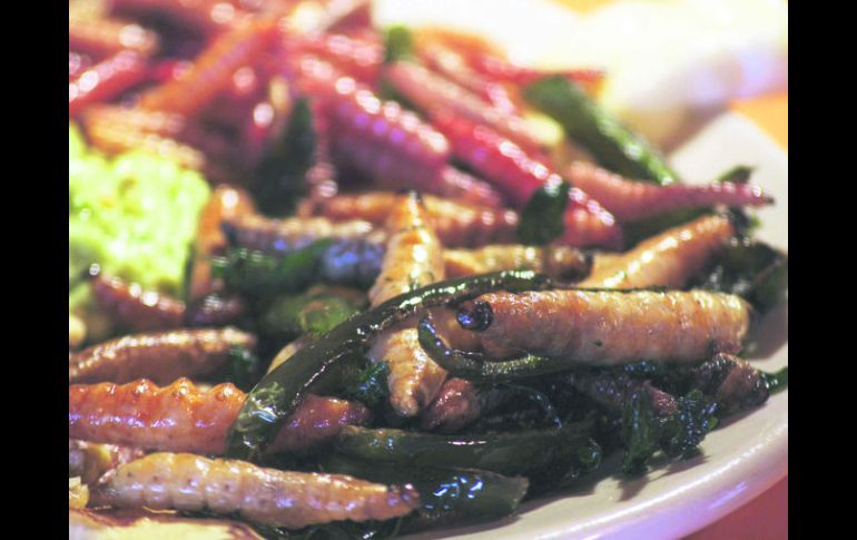 Los platillos están elaborados a base de gusanos y escamoles, y algunos otros con insectos que se consiguen por temporada. ESPECIAL /