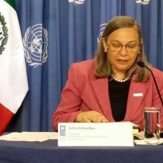 Indígenas padecen 20 años de retraso educativo: INEE