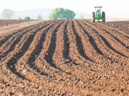SECTOR PRIMARIO. El incremento en las actividades del sector agropecuario impulsaron al Igae en junio.  /