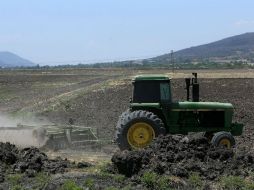 El Inegi informa que la productividad laboral en las actividades primarias aumenta 3.1 por ciento. ARCHIVO /