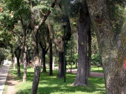 Los recursos focalizados se han destinado a los parques Alcalde, Revolución, Río de Janeiro y 18 de Marzo. ARCHIVO /