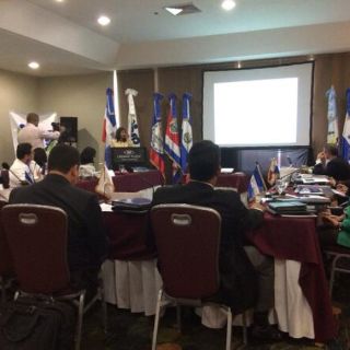 Centroamérica marca chikungunya como una de las prioridades