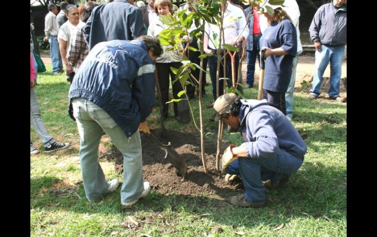La campaña de reforestación en Zapopan tendrá vigencia hasta mes de agosto. ARCHIVO /