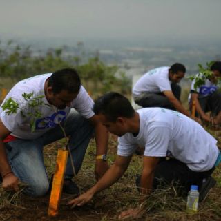 Reforestación llega al Santuario de los Mártires