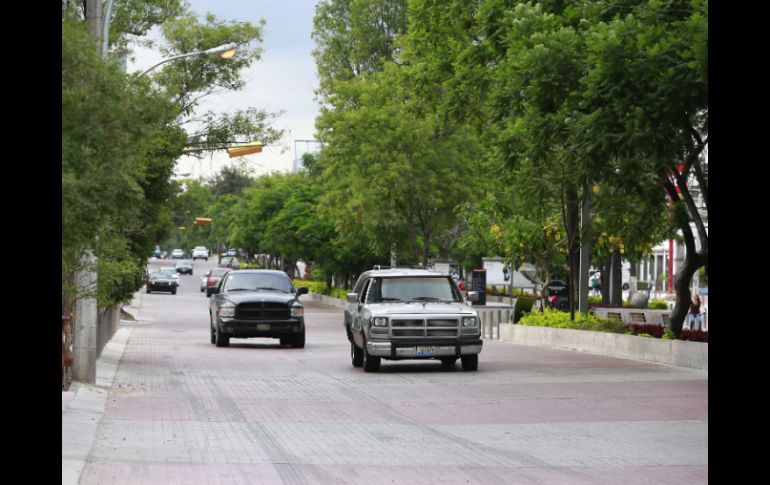 Se espera que el pavimento estampado dure aproximadamente 20 años.  /