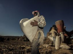 Sin mejores oportunidades para personas y empresas, poco posible fortalecer sector productivo y crecimiento económico, afirma el CEESP. ARCHIVO /