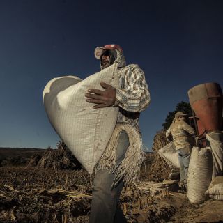 Mayoría de variables económicas presentan mejora: CEESP