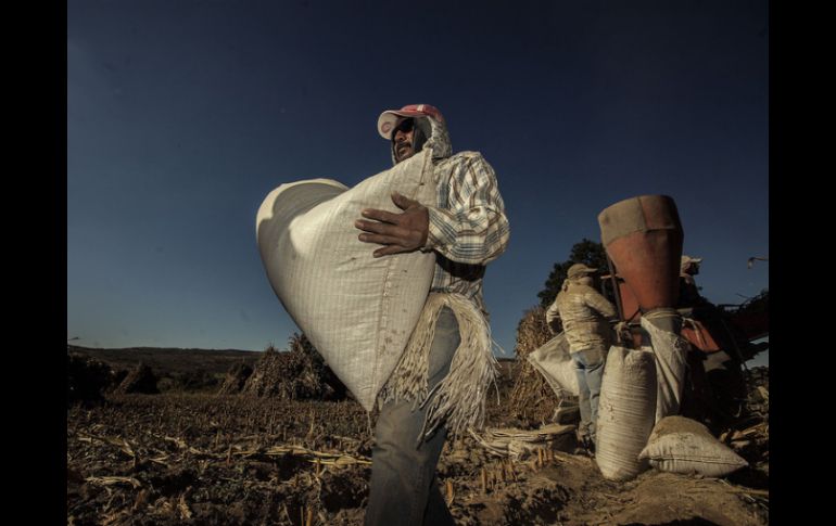 Sin mejores oportunidades para personas y empresas, poco posible fortalecer sector productivo y crecimiento económico, afirma el CEESP. ARCHIVO /