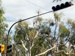 En los primeros cinco meses de este año, se reportan cinco mil seis semáforos con desperfectos. ARCHIVO /