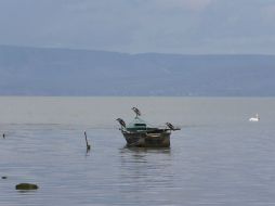 En el período 2013-2014, Chapala registró descenso total de 90 centímetros de los 97 que ganó en el pasado temporal de lluvias. ARCHIVO /