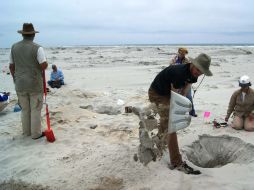 Los especialistas se dedican actualmente a labores de restauración para preservar las inscripciones de los muros. ARCHIVO /