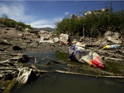 Cada año se recolectan del área más de cinco mil toneladas de basura. ARCHIVO /