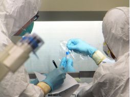 La investigación sobre el virus H1N1 fue realizada en un laboratorio de alta seguridad de la Universidad de Wisconsin-Madison. ARCHIVO /