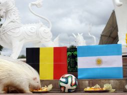 Argentina y Bélgica protagonizan uno de los duelos más esperados de la siguiente ronda. EFE /