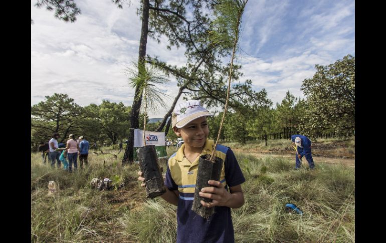 Fue en 2005 cuando Extra AC comenzó con su proyecto 'Hagamos de la ciudad un bosque urbano'.  /