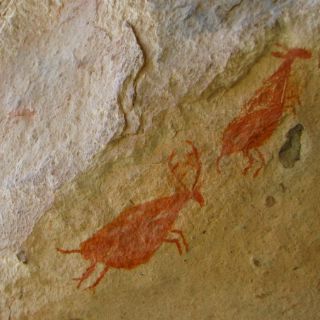 Tampico realizará encuentro internacional de arte rupestre