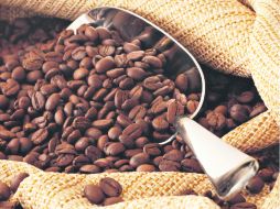 En México tenemos el privilegio de contar con una de las  mejores regiones para que se dé el buen café. ESPECIAL /