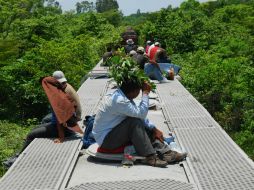 Según la Patrulla Fronteriza más de 52 mil menores han sido detenidos tras cruzar la frontera en este año. ARCHIVO /