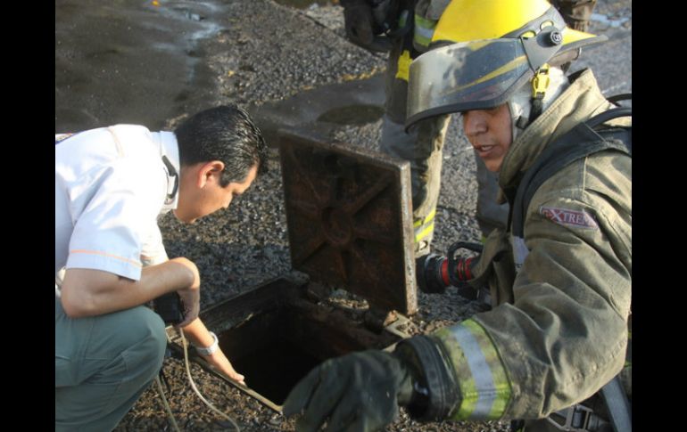 Por esta acción no se reportan intoxicados ni incidente alguno. ARCHIVO /