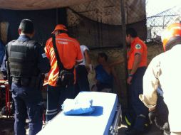Por el hecho, acuden bomberos y paramédicos para atender a las víctimas.  /
