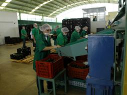 Hasta junio de este año se encuentran registrados en el Seguro Social 16 millones 928 mil 515 puestos de trabajo. ARCHIVO /